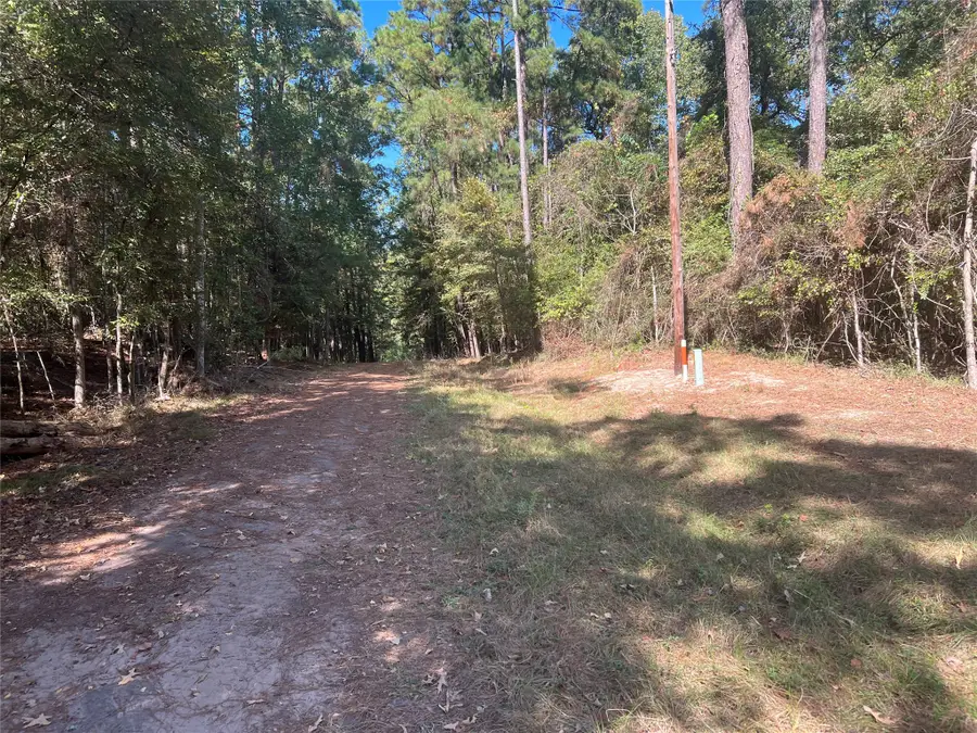 Lot 100 Rio Vista, Livingston, TX 77351 - #3