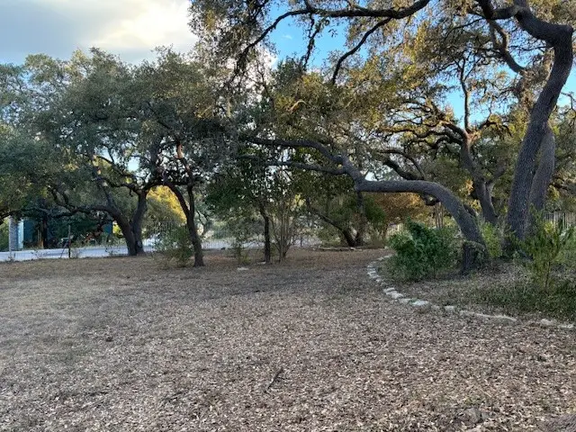 185 Polly Drive, Canyon Lake, TX 78133 - #3