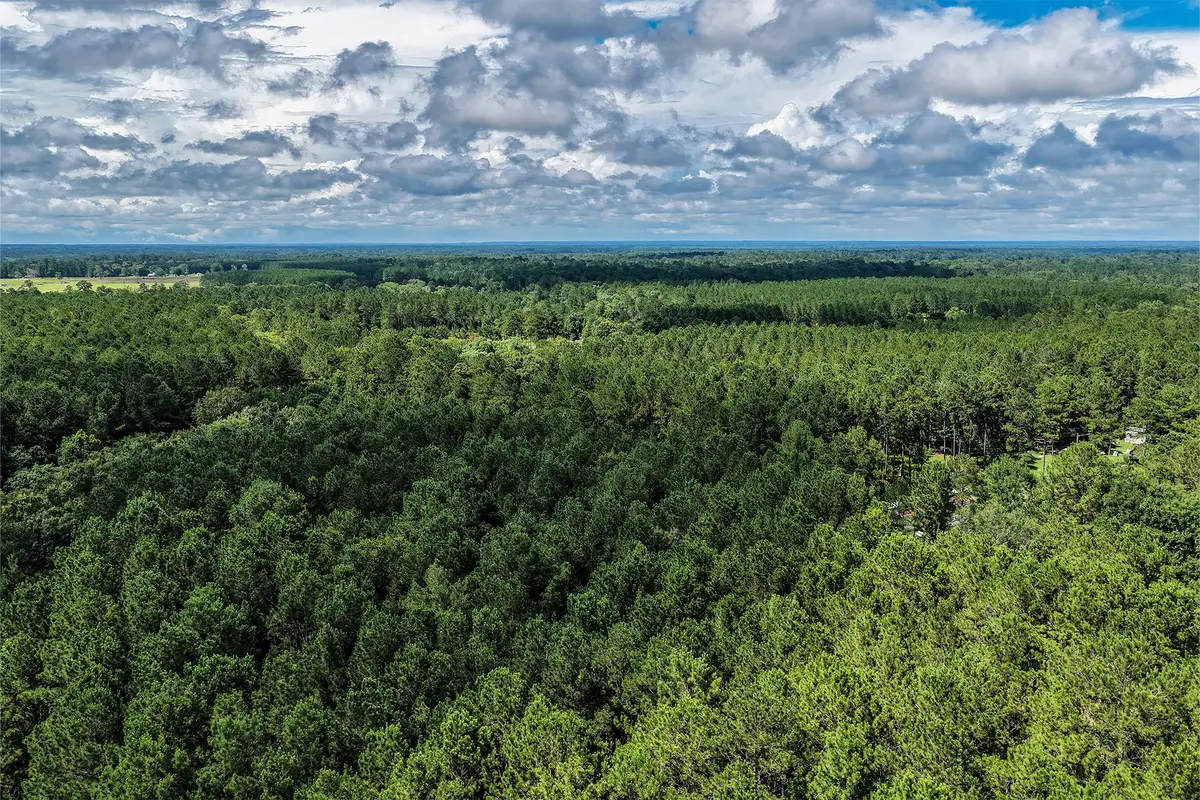 1782 Acres County Line Road, Shepherd, TX 77371 - #1