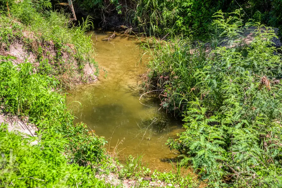 Tbd Fm 2621 Lane, Brenham, TX 77833 - #3