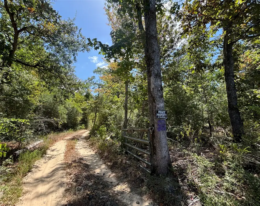 TBD Mt Sinai Road E, Colmesneil, TX 75938 - #2