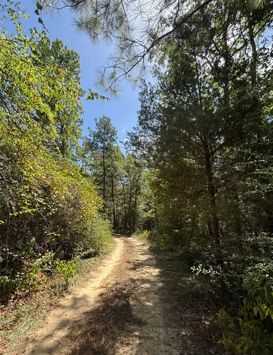 TBD Mt Sinai Road E, Colmesneil, TX 75938 - #3