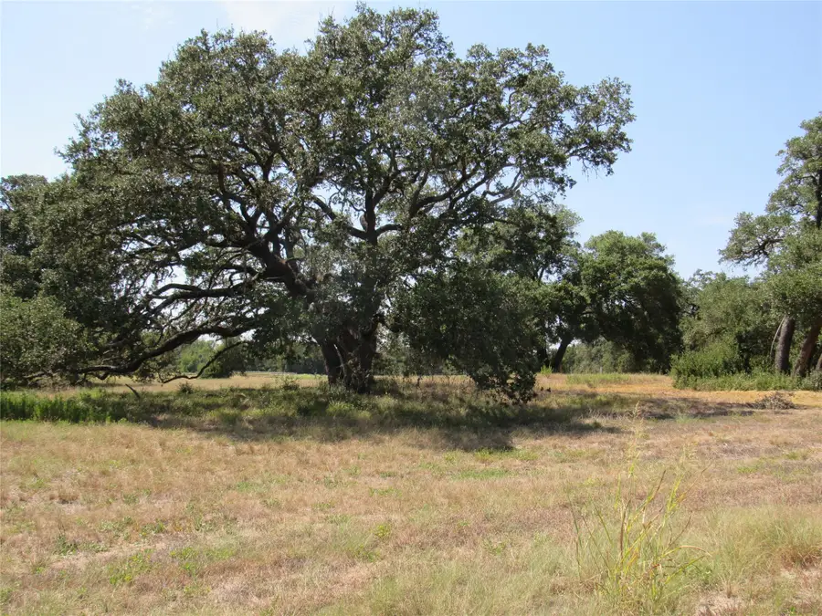 7863 Fm 332 Road, Brenham, TX 77833 - #3