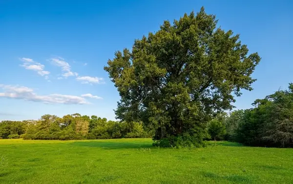 45AC Cr 223, Buffalo, TX 75831