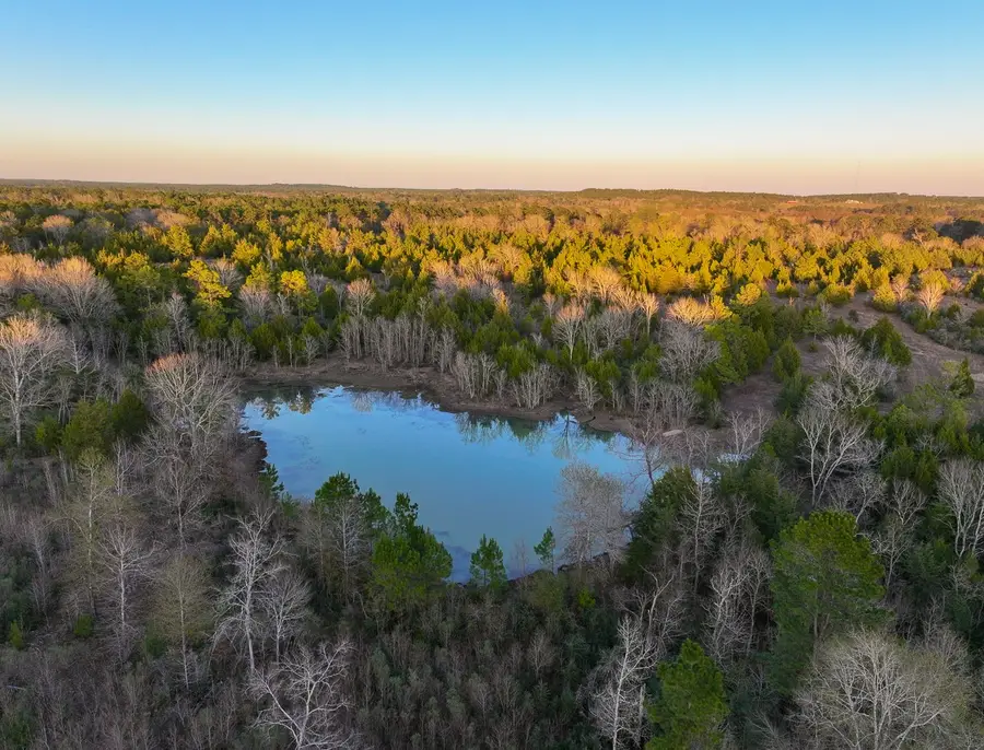 301 Paul Poe Road, Livingston, TX 77351 - Image #3