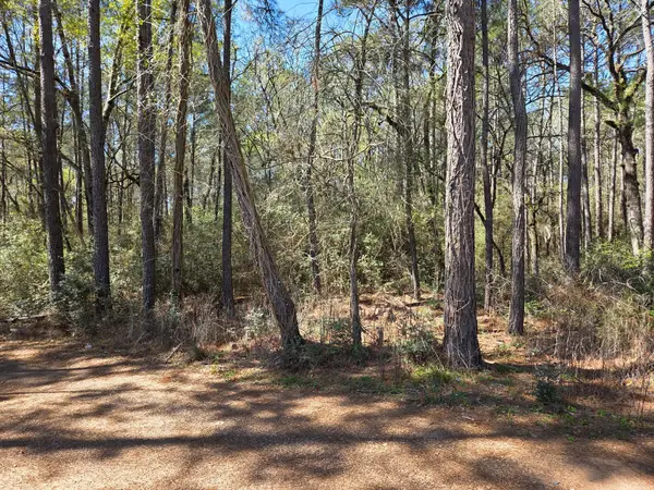 lot 20 Hackberry Drive, Plantersville, TX 77363