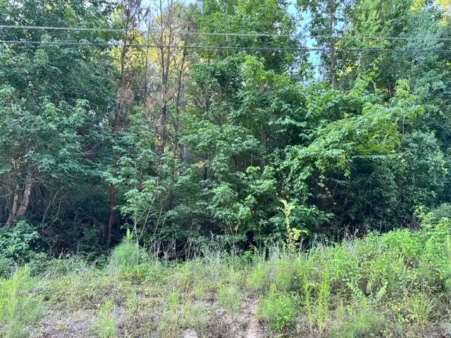 TBD16 White Rock Acres Road, Trinity, TX 75862 - #1