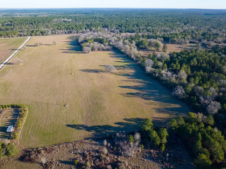 TBD Dickey Loop, Huntsville, TX 77320 - #2