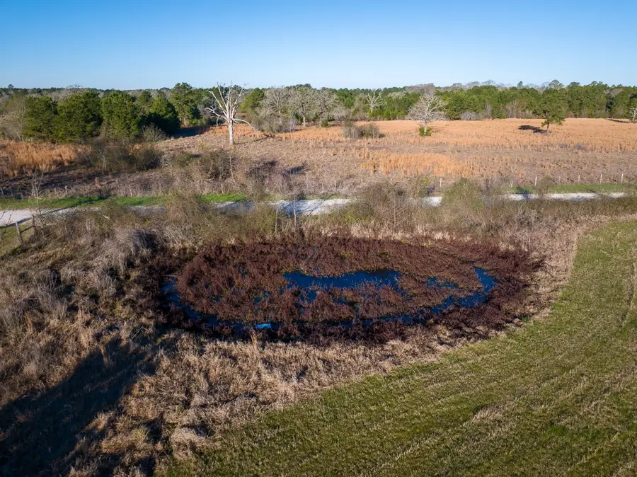 TBD Dickey Loop, Huntsville, TX 77320 - #3