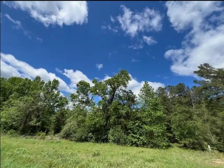 TBD Us Hwy 59 N, Moscow, TX 75960 - #1