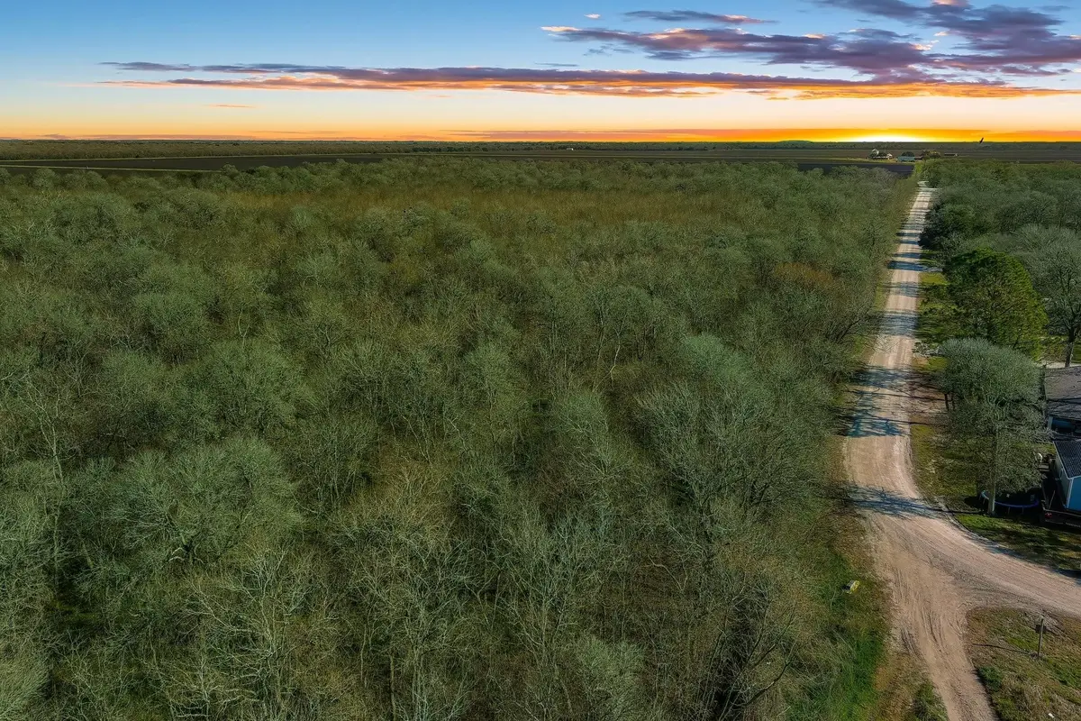 TBD Tr 19e2a Cr647, Guy, TX 77444 - Image #1