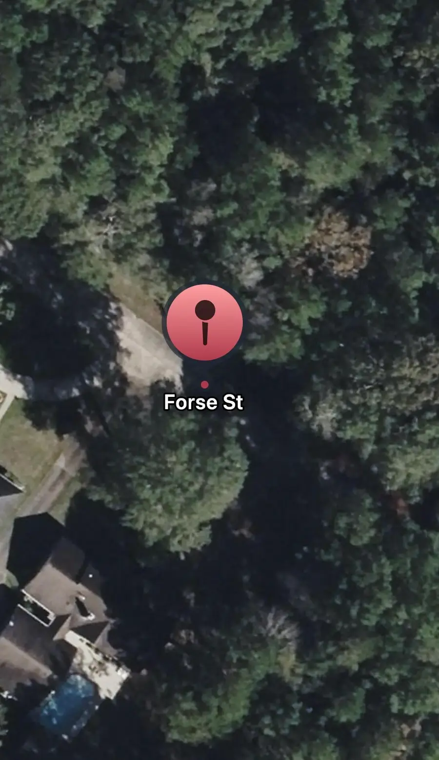 TBD Forse Street, Woodville, TX 75979 - #3