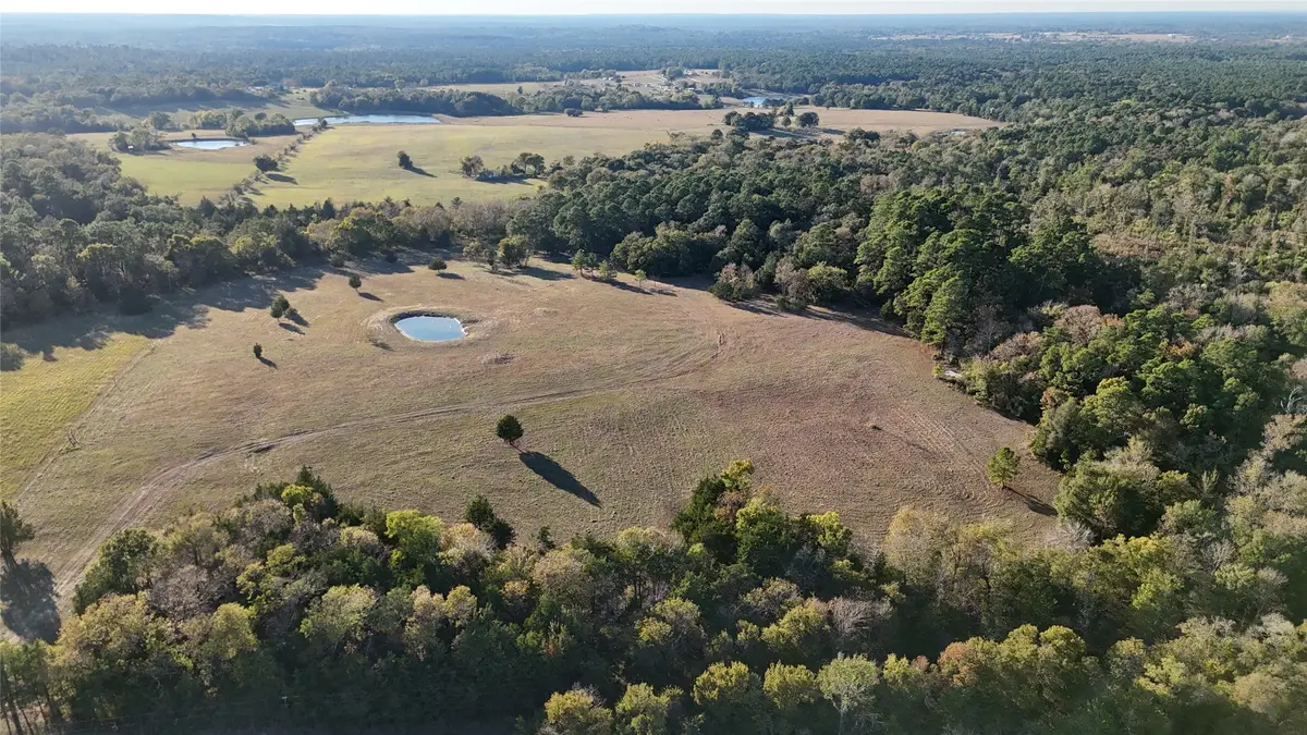 TBD Townley Ranch Road, Huntsville, TX 77320 - Image #1