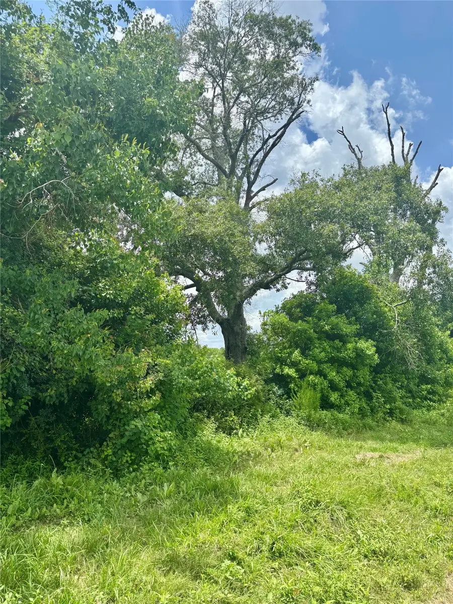 2408 County Road 2235 Res County Road, Cleveland, TX 77327 - Image #3