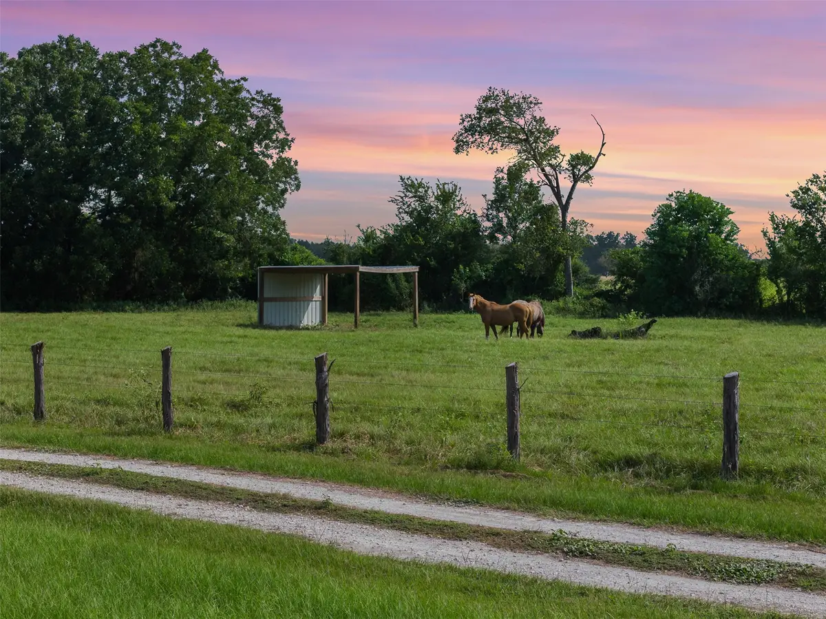 11043 County Road 336, Caldwell, TX 77836 - #1