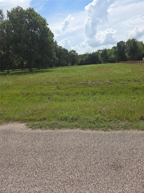 16834 Wrangler Road, Rosharon, TX 77583