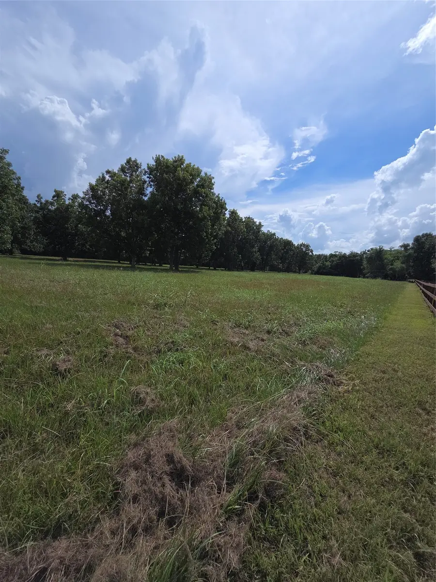 16834 Wrangler Road, Rosharon, TX 77583 - #2
