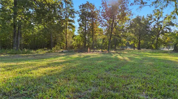 TBD (LOT 24) Deep Woods Lane, Livingston, TX 77351