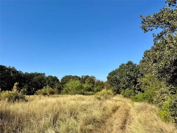 Lots 10-19 and 68-73 County Road 366, Marquez, TX 77865