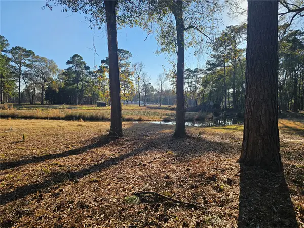 1325 Fm 223 Road, Shepherd, TX 77371