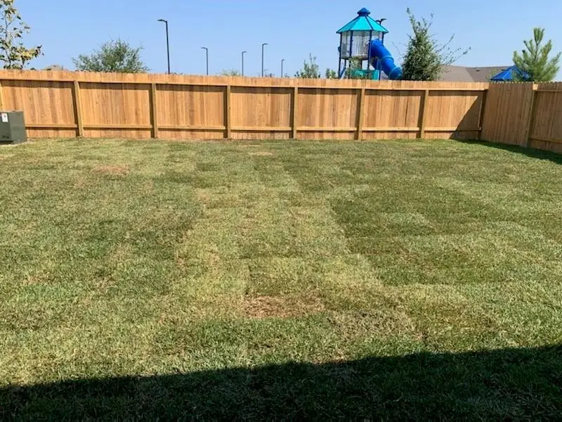 23410 Beechtree Gully Lane, Spring, TX 77373 - #2