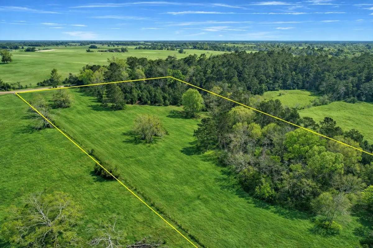 TBD Denson Allen Road, Coldspring, TX 77331 - #1