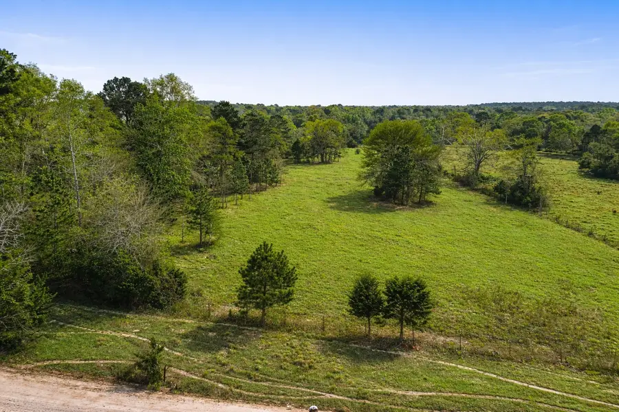 TBD Denson Allen Road, Coldspring, TX 77331 - #2