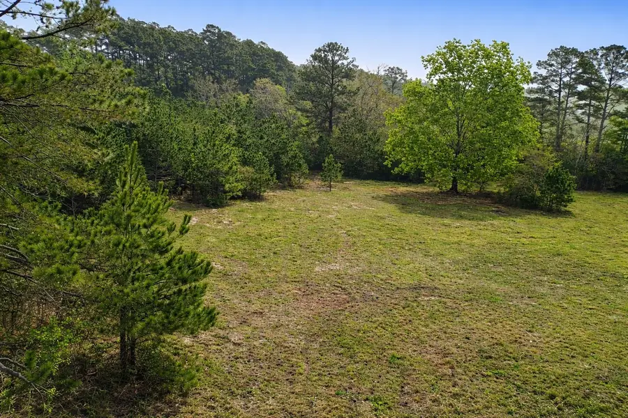 TBD Denson Allen Road, Coldspring, TX 77331 - #3