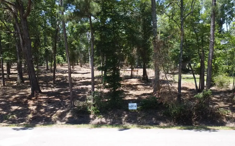 15621 Crowley Road, Conroe, TX 77306 - #3