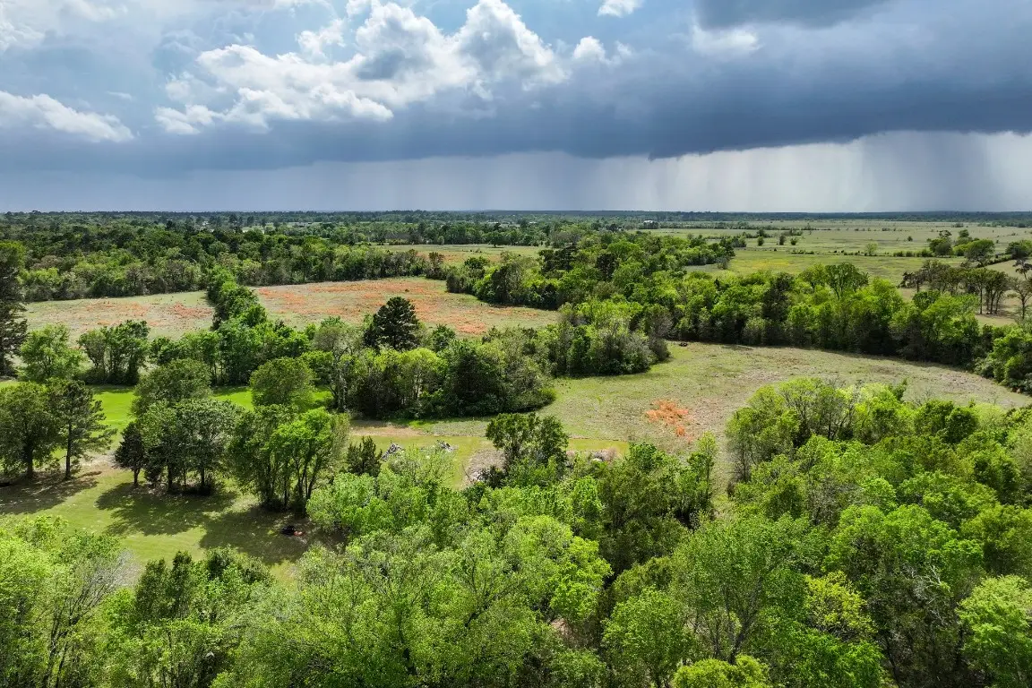 1881 Sh 75 North, Huntsville, TX 77320 - #1