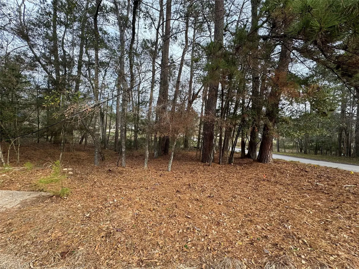 728 Overbrook Drive, Huntsville, TX 77340 - Image #1