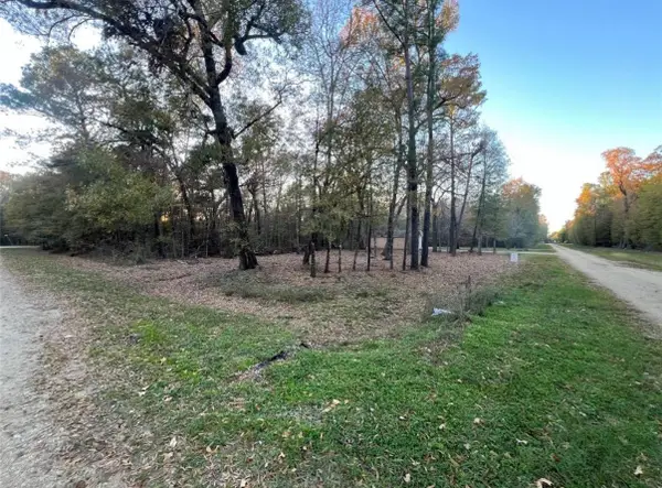 0 Mossy Drive, Livingston, TX 77351