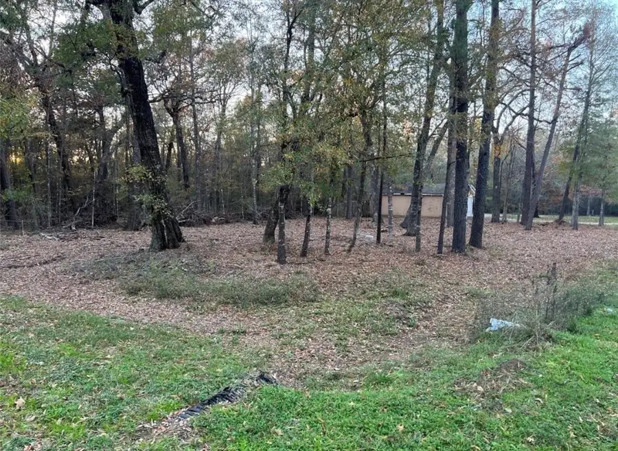 0 Mossy Drive, Livingston, TX 77351 - #2