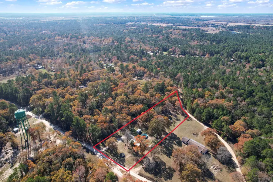 305 Thomas Lane, Trinity, TX 75862 - Image #2