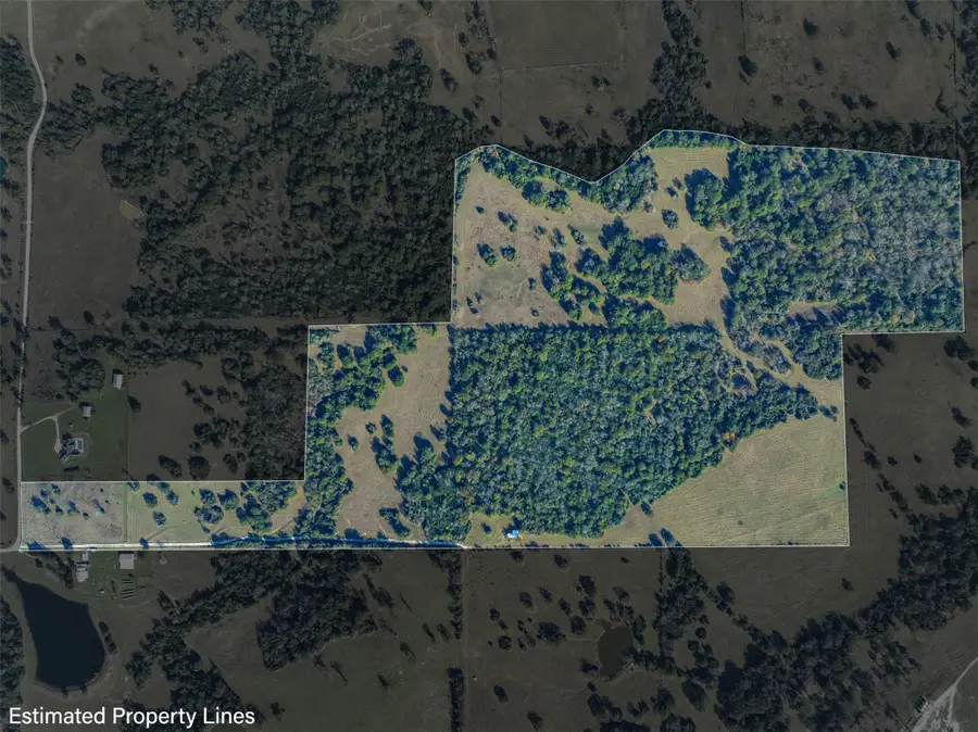 12038 County Road 112, Iola, TX 77861 - Image #2