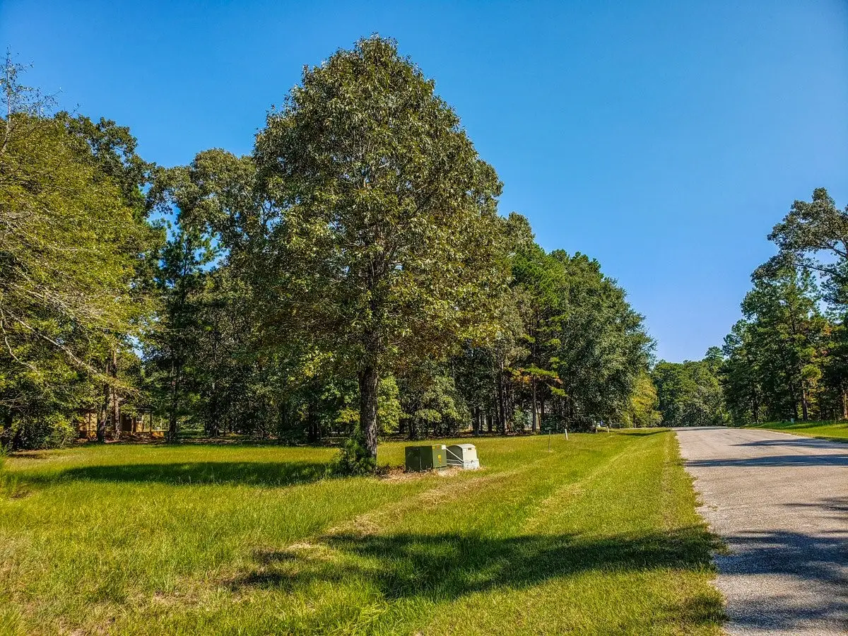 96 N Forest Drive, Huntsville, TX 77340 - #1