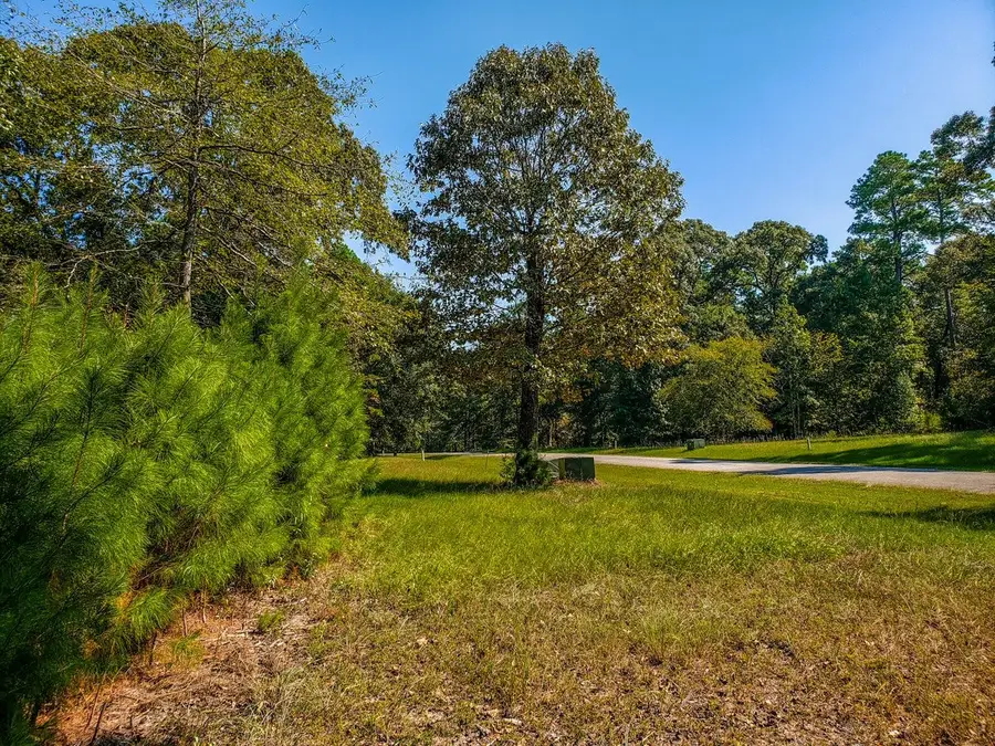 96 N Forest Drive, Huntsville, TX 77340 - #3