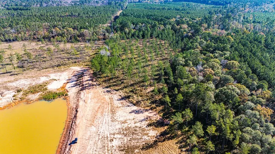 Lot 8 Big Buck Drive N, Moscow, TX 75960 - #2