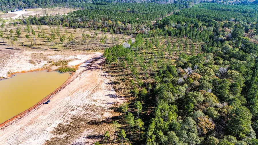 Lot 8 Big Buck Drive N, Moscow, TX 75960 - #3