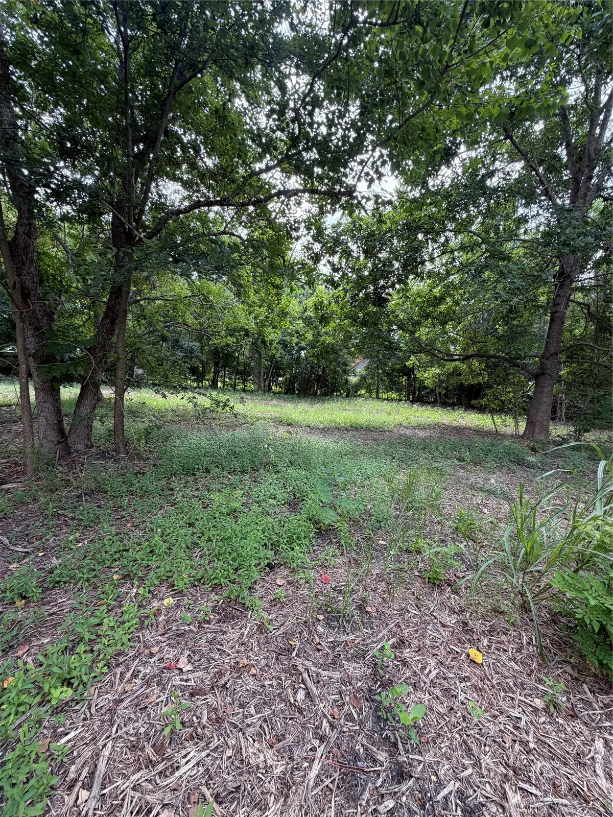 13515 Canterwell Road, Houston, TX 77047 - #1