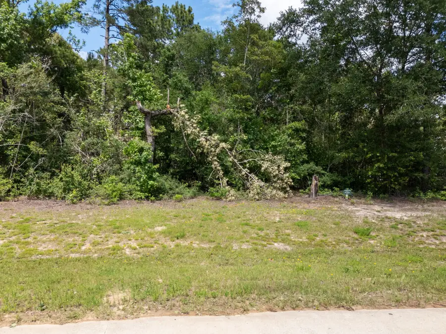 7307 Barret Street, Montgomery, TX 77316 - #3