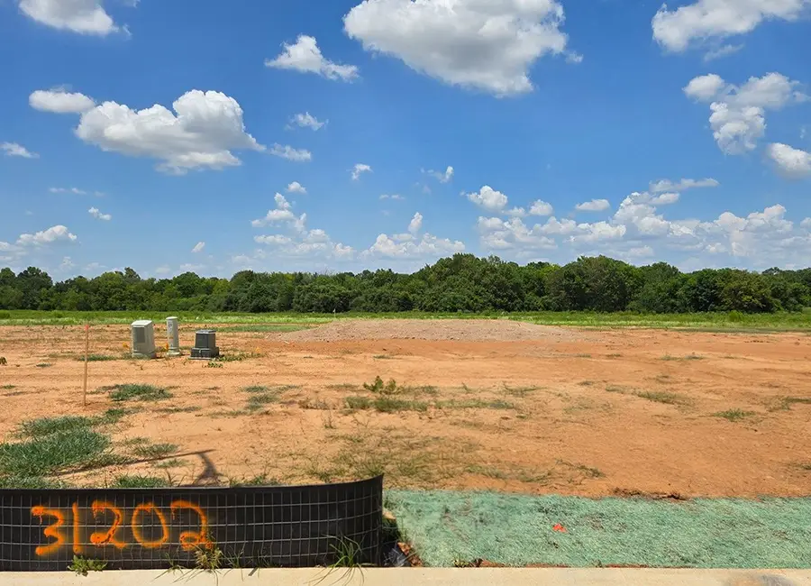 31202 Cass River Lane, Waller, TX 77484 - #2
