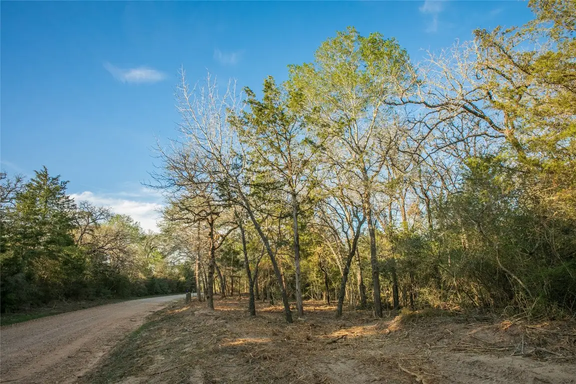 TBD Schoenau Rd, Brenham, TX 77833 - #1