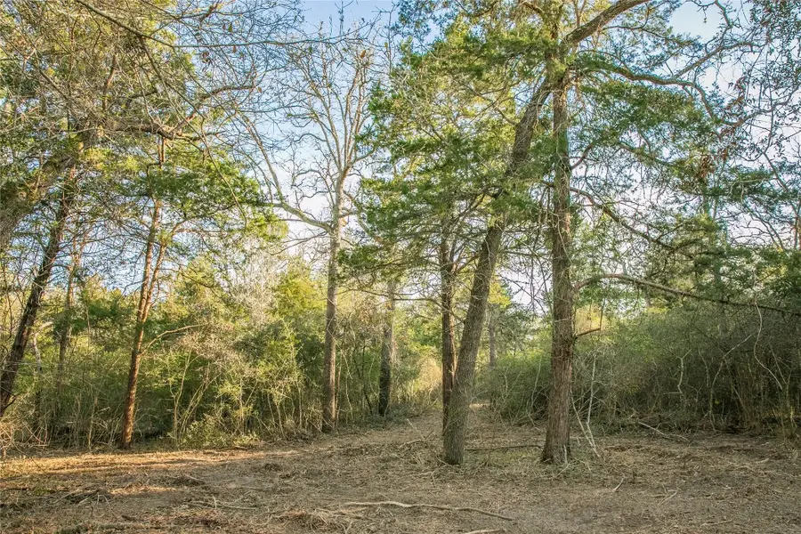 TBD Schoenau Rd, Brenham, TX 77833 - #2