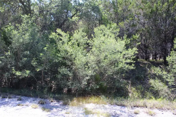 8207 Cedar Glen Cove, Leander, TX 78645
