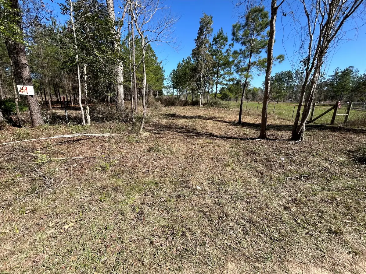 3738 County Road 2650, Cleveland, TX 77327 - #1