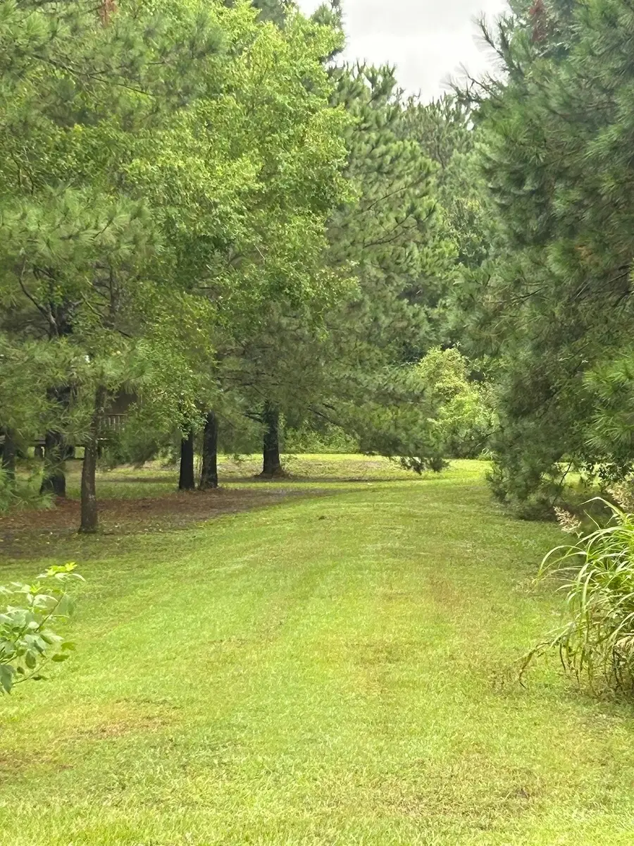 13935 Santa Fe Trail, Hamshire, TX 77622 - Image #3