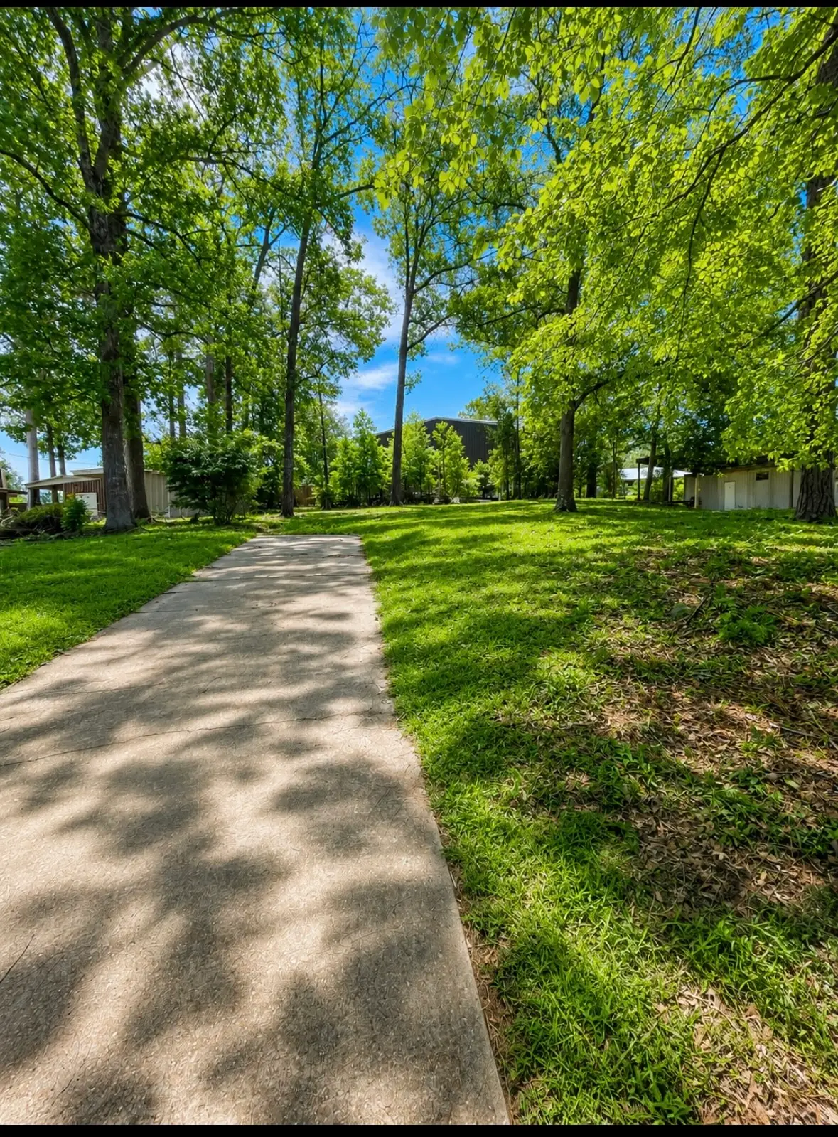 203 Wildbriar Drive, Jasper, TX 75951 - #1