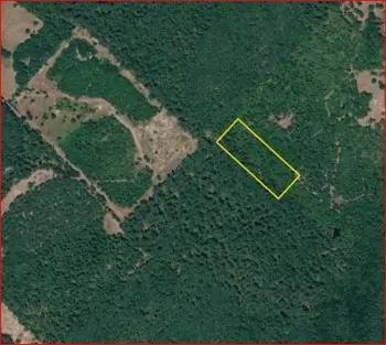 0 County Road 1655, Crockett, TX 75835