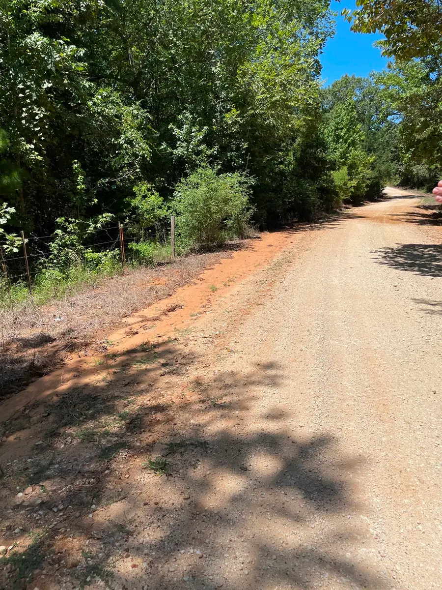0 County Road 1655, Grapeland, TX 75835 - #2
